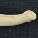 The toe bone in question: The third metatarsal of H. luzonensis.